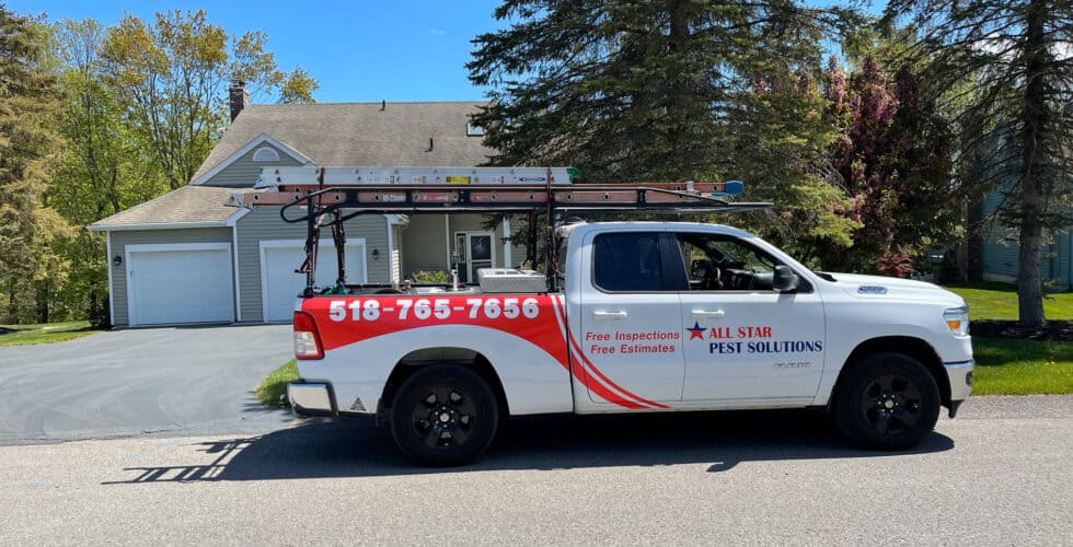 Pest Control Albany NY Pest Extermination Albany NY